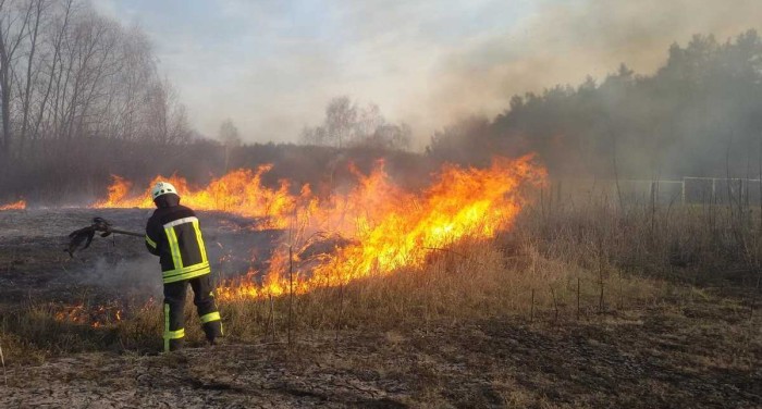 Допалилися: через підпал трави вимкнули живлення у частині Прикарпаття
