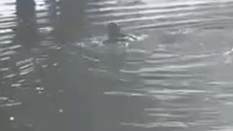 «Так ще ніхто не з**бувався»: на Хмельниччині чоловік вплав тікав від військкомів – відео