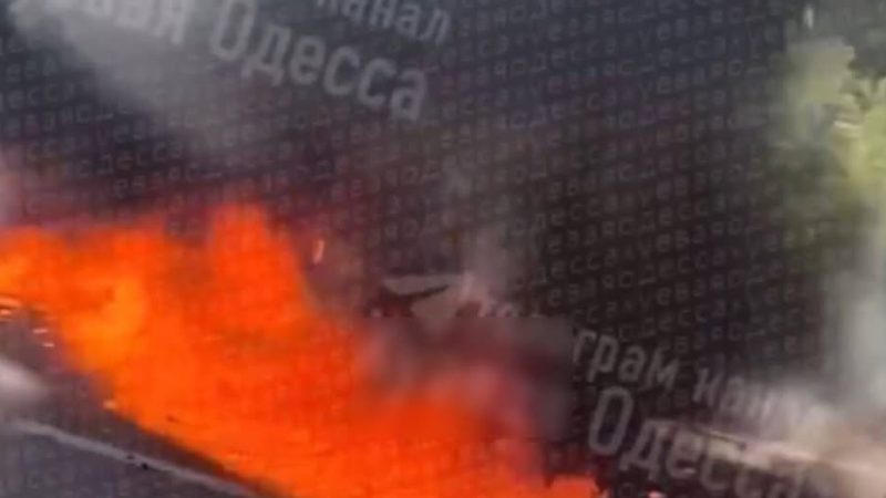 6990739526844063530