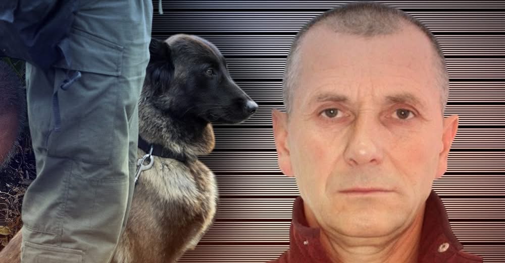 В Україні шукають небезпечного вбивцю: що відомо