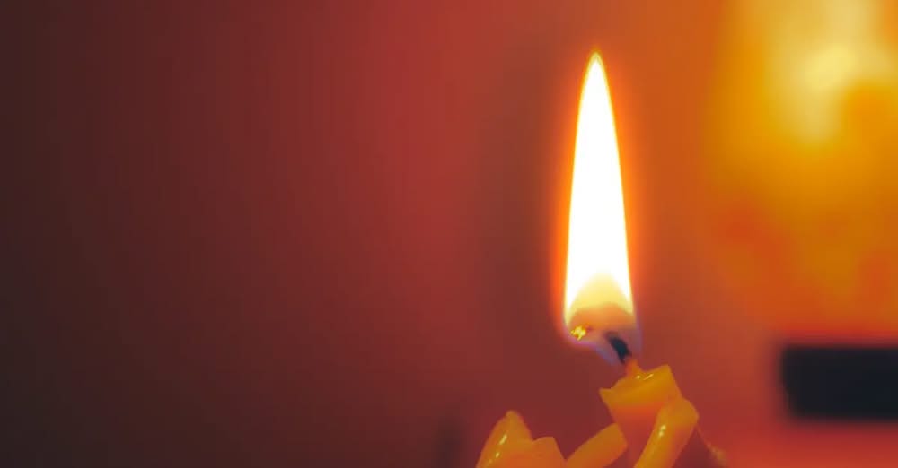 Стало відомо про загибель одинадцятьох захисників з Вінниччини