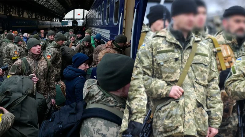 C8c7c959889b0b433fc6eadfda3c1035