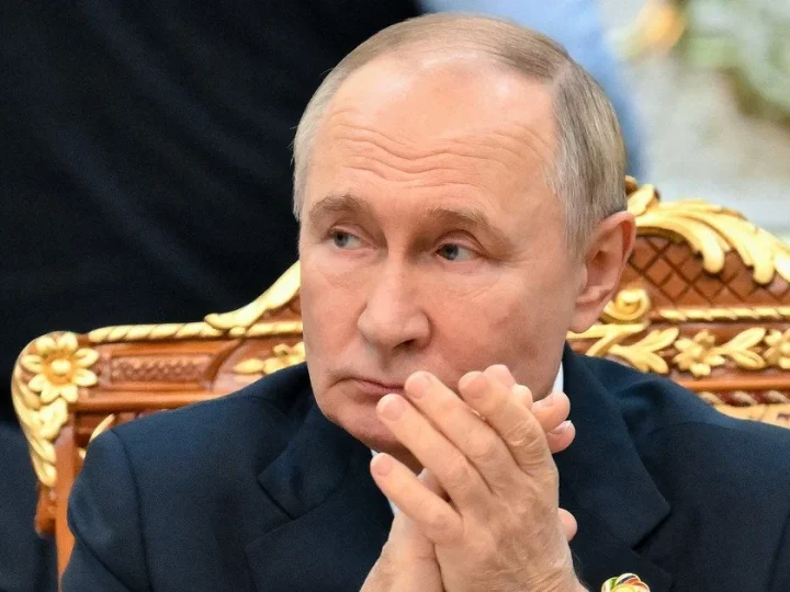 2e0edb16c1e4626a582ea629a9879196