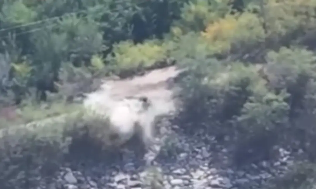 ЗСУ вражають: знищили важливе укриття та зенітну уставновку росіян (відео)