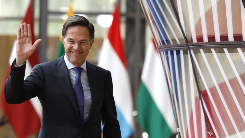 9ca805ceed114a43310a4b16aea80342