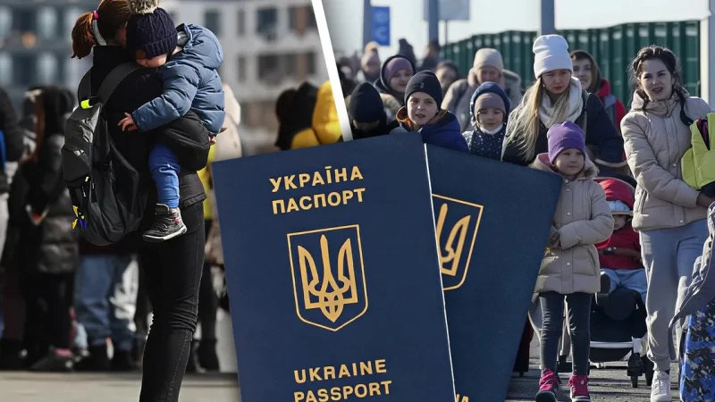 Біженці, які повернулися до України, отримають “підйомні”: скільки платитимуть