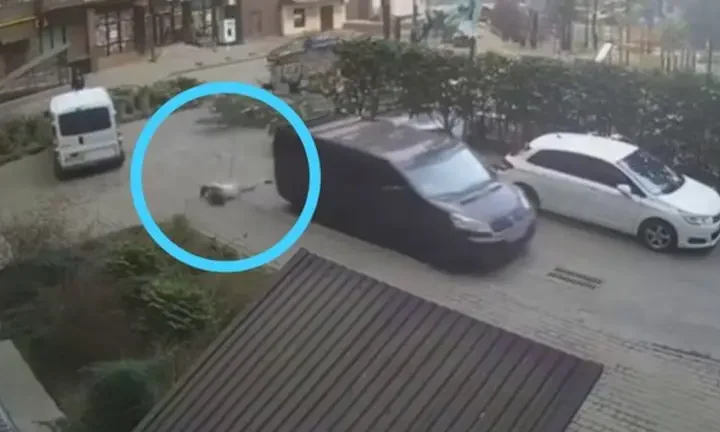 В Луцьку вагітна жінка вчепилася за бус працівників ТЦК та впала з нього