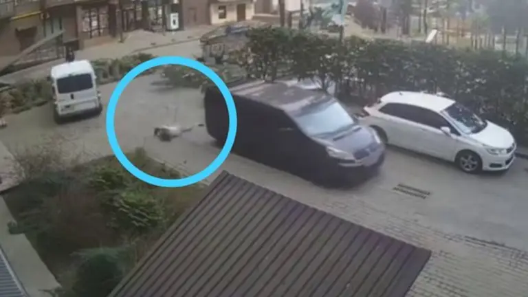 В Луцьку вагітна жінка вчепилася за бус працівників ТЦК та впала з нього