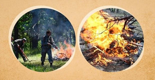 Чи можна палити гілки та сміття на подвір’ї: в ДСНС розповіли, коли виписують штраф